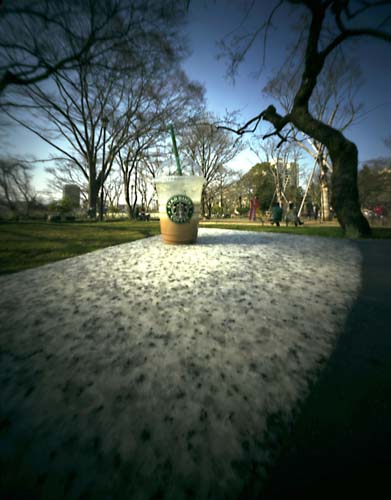 pinhole photograph