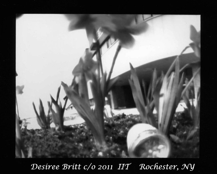 pinhole photograph