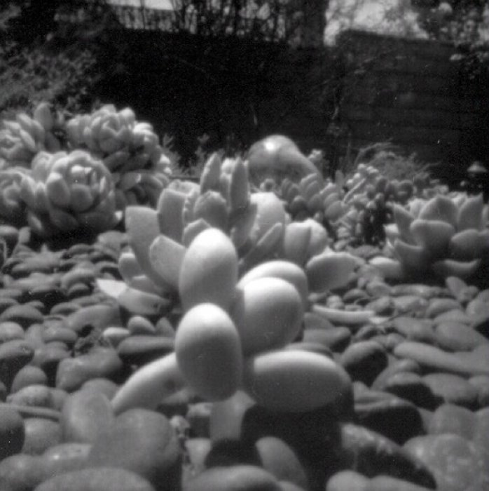 pinhole photograph