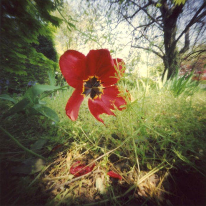pinhole photograph