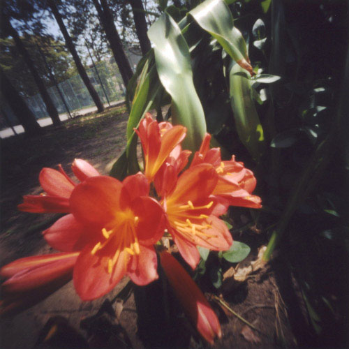 pinhole photograph