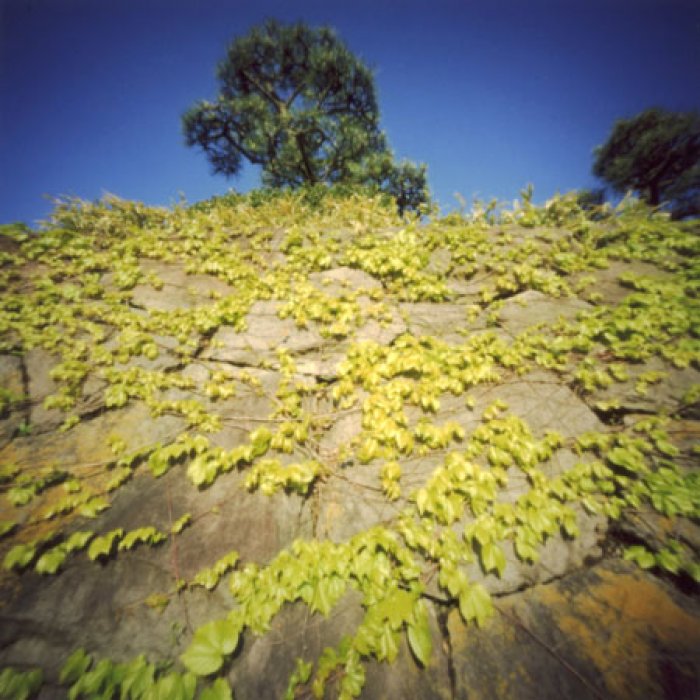 pinhole photograph