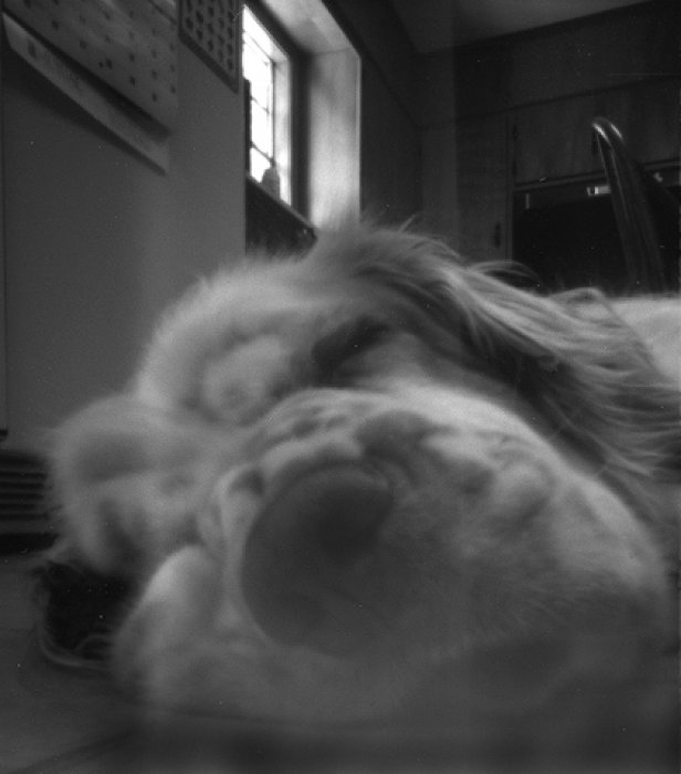 pinhole photograph