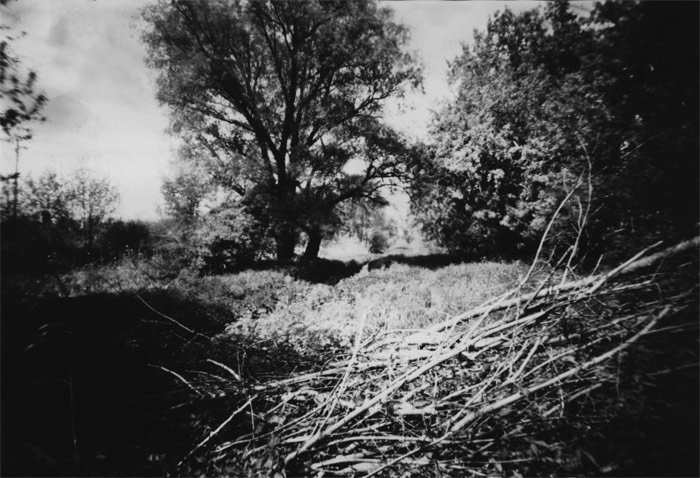 pinhole photograph