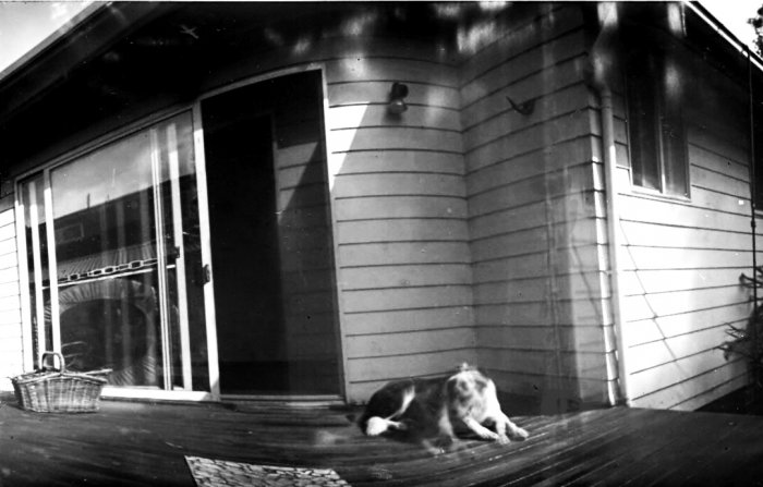 pinhole photograph