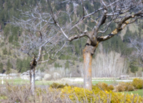 pinhole photograph