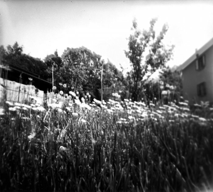 pinhole photograph