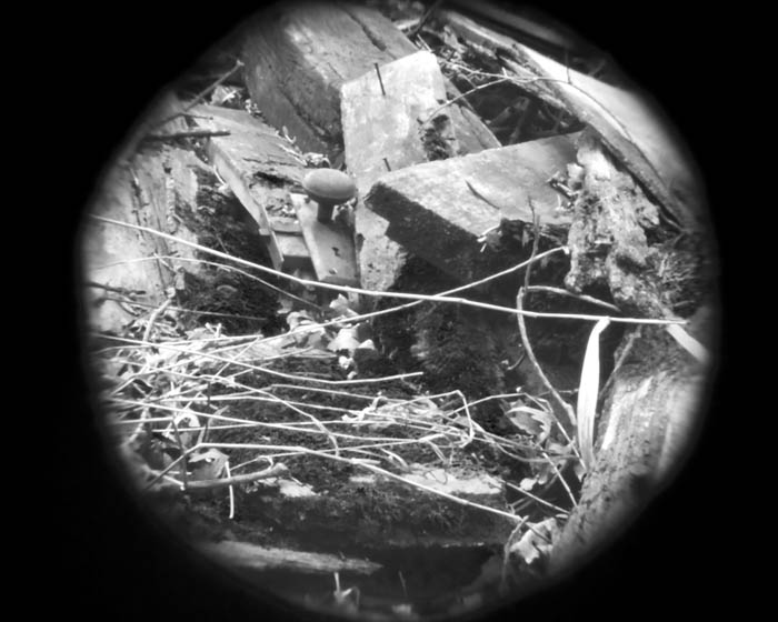 pinhole photograph