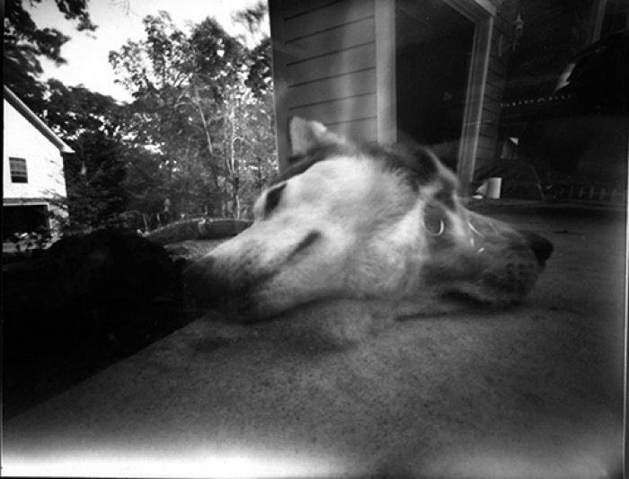 pinhole photograph