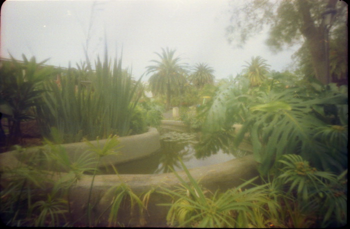 pinhole photograph