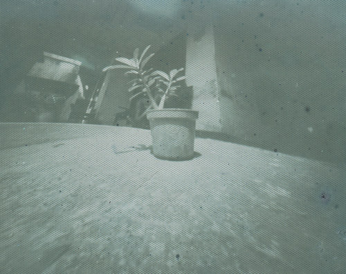 pinhole photograph