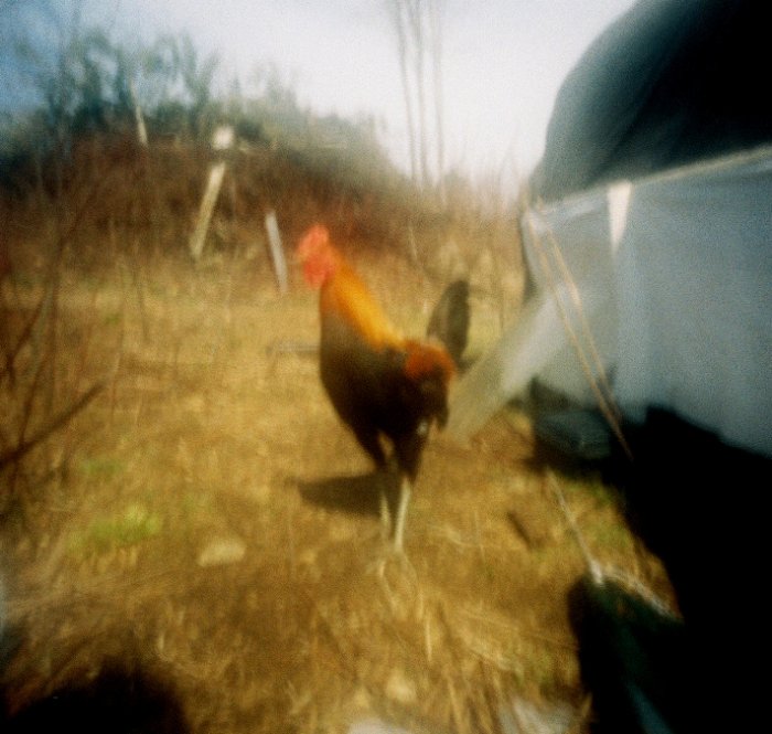 pinhole photograph