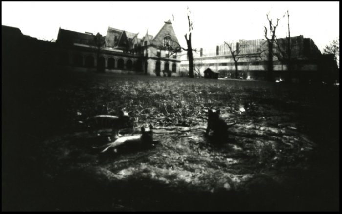 pinhole photograph