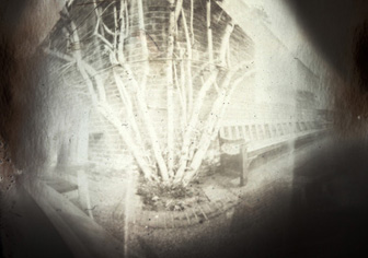 pinhole photograph