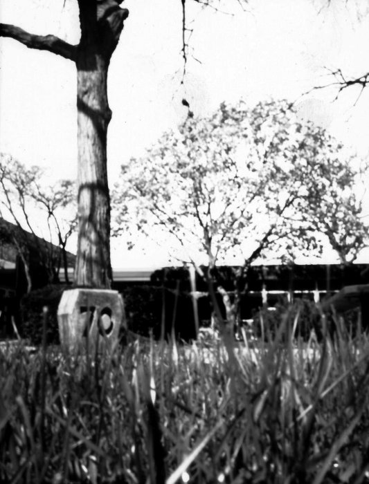 pinhole photograph