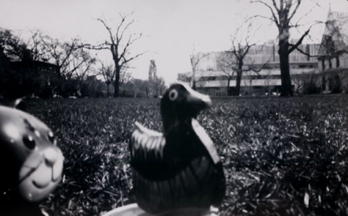 pinhole photograph