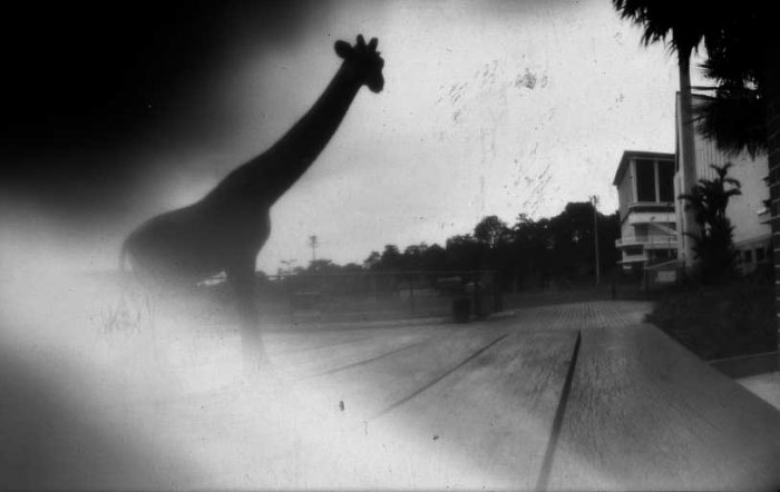 pinhole photograph