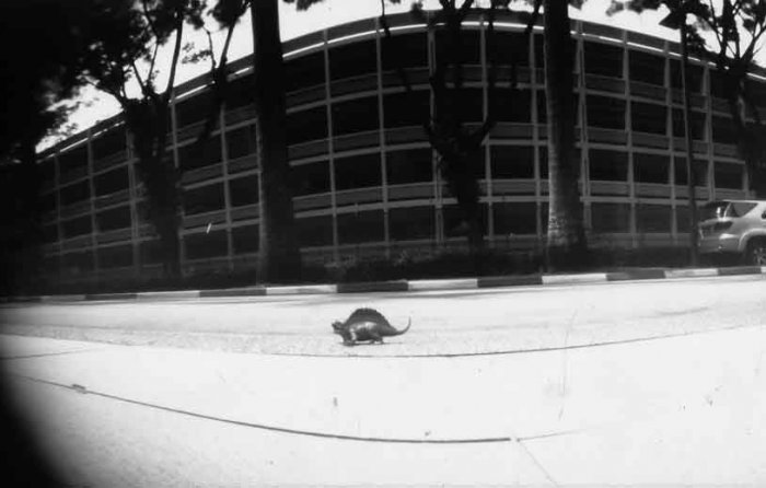 pinhole photograph