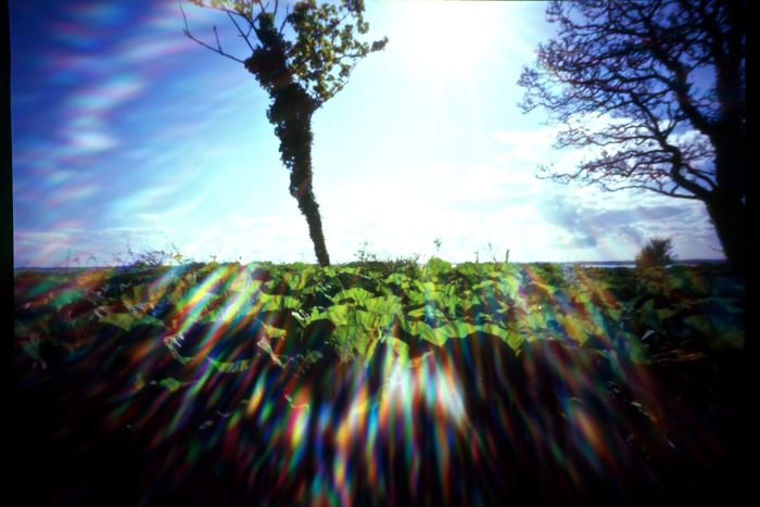 pinhole photograph