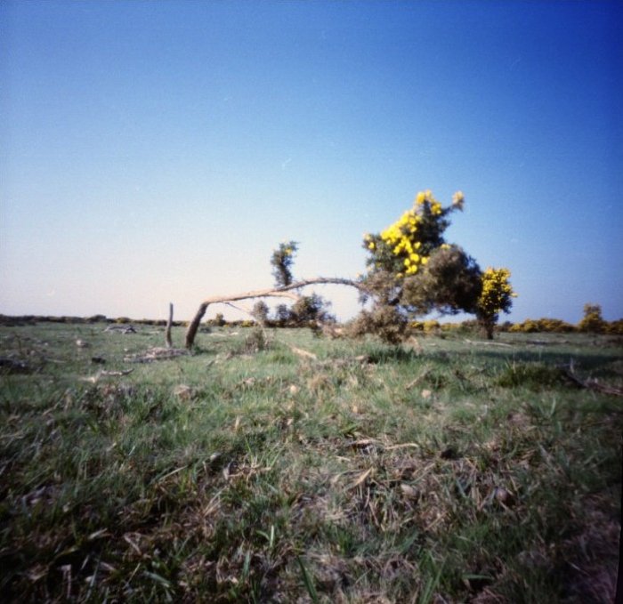 pinhole photograph