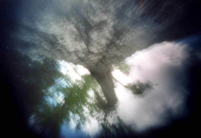 pinhole photograph