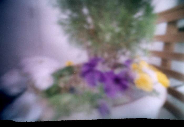 pinhole photograph