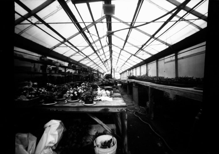 pinhole photograph