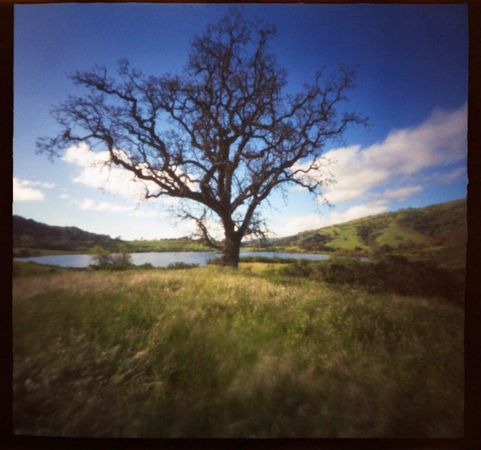 pinhole photograph