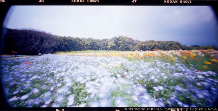 pinhole photograph