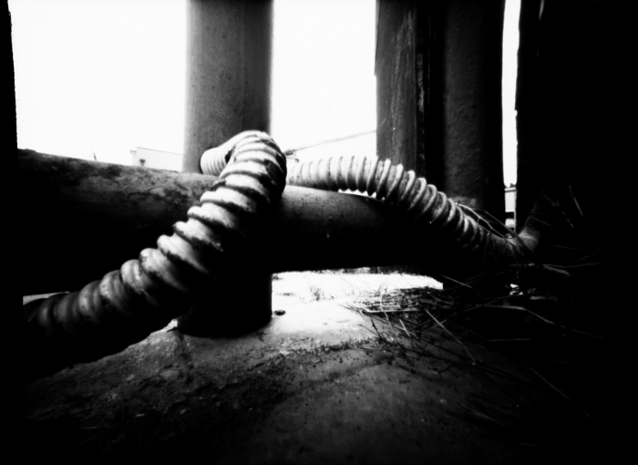 pinhole photograph