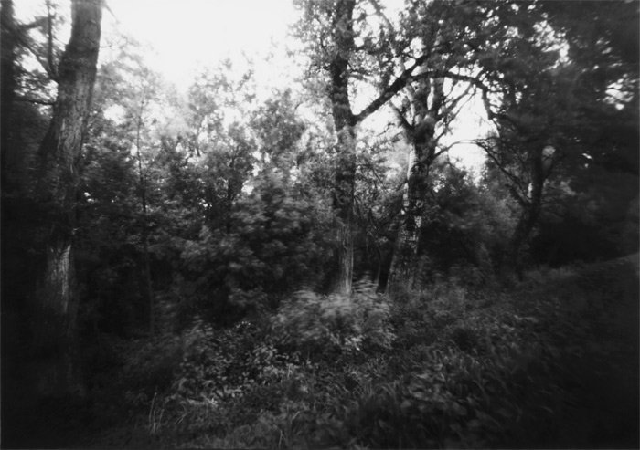 pinhole photograph