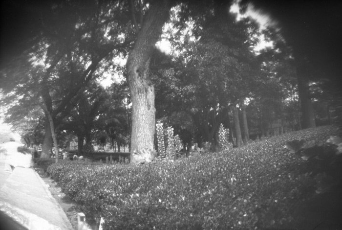 pinhole photograph