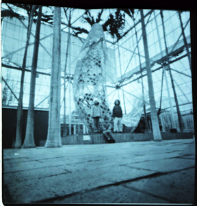 pinhole photograph