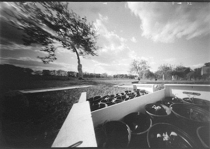 pinhole photograph