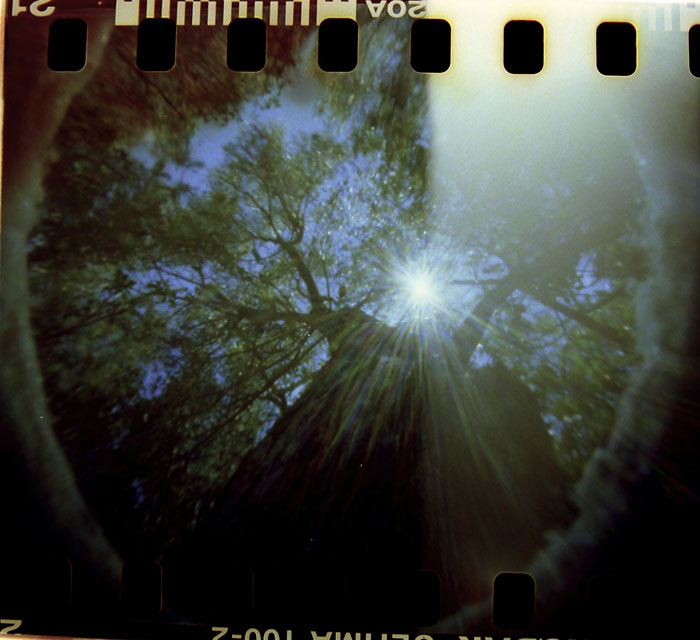 pinhole photograph