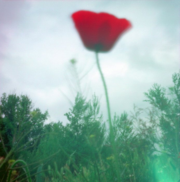 pinhole photograph
