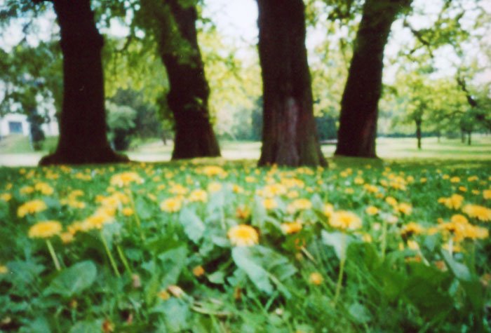 pinhole photograph