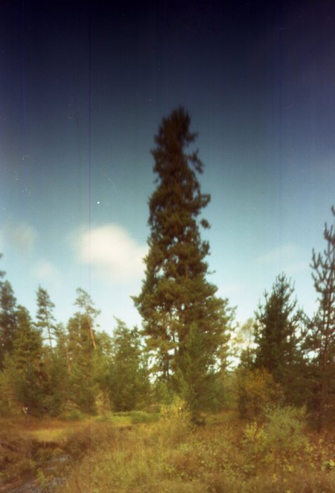pinhole photograph