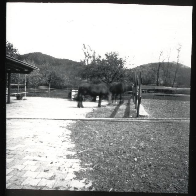pinhole photograph