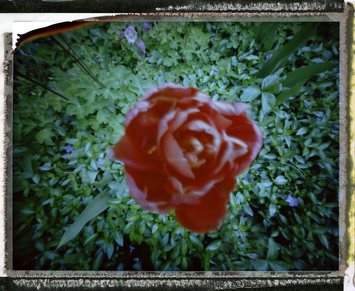 pinhole photograph