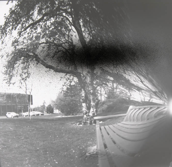 pinhole photograph