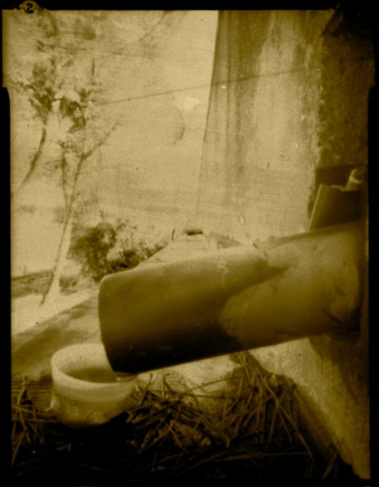 pinhole photograph