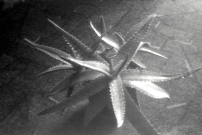 pinhole photograph