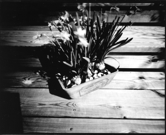 pinhole photograph