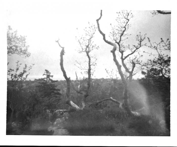 pinhole photograph