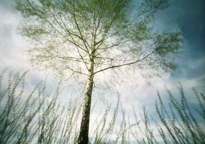 pinhole photograph