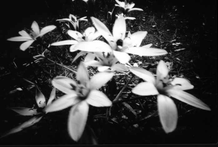 pinhole photograph