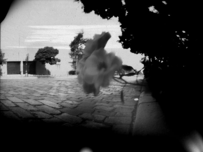 pinhole photograph