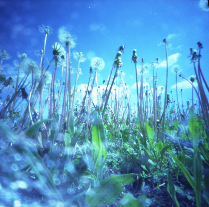 pinhole photograph