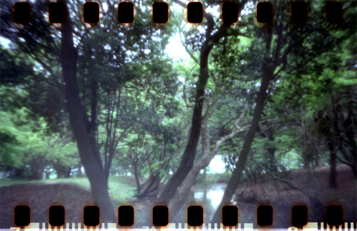 pinhole photograph